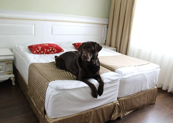 Hotel Golden Dome Iisalmi