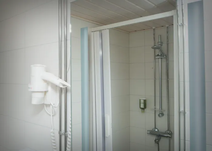 Hotel Hotel Golden Dome Iisalmi 4*